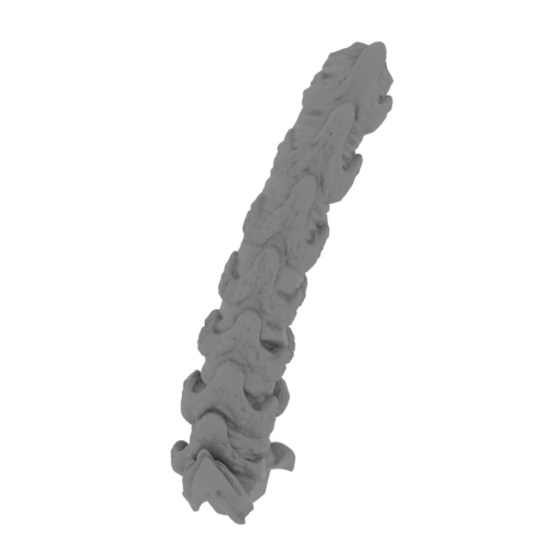 17_tail_1_FDM(repaired).stl