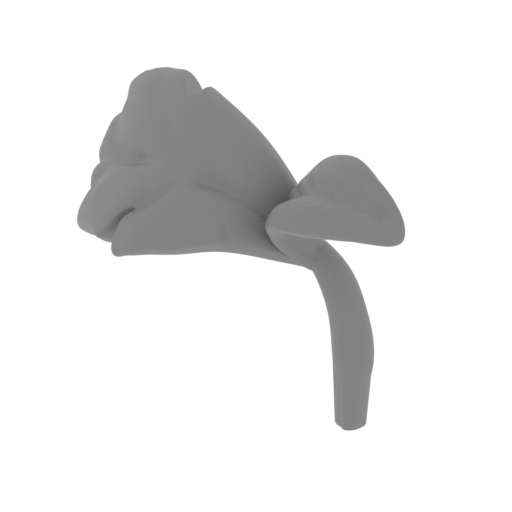 2_Cody_head_sprout_FDM(repaired).stl