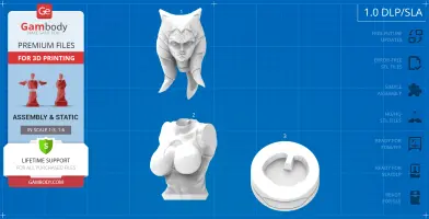 Ahsoka Tano bust STL file with head, torso, and base parts on a blue grid background.