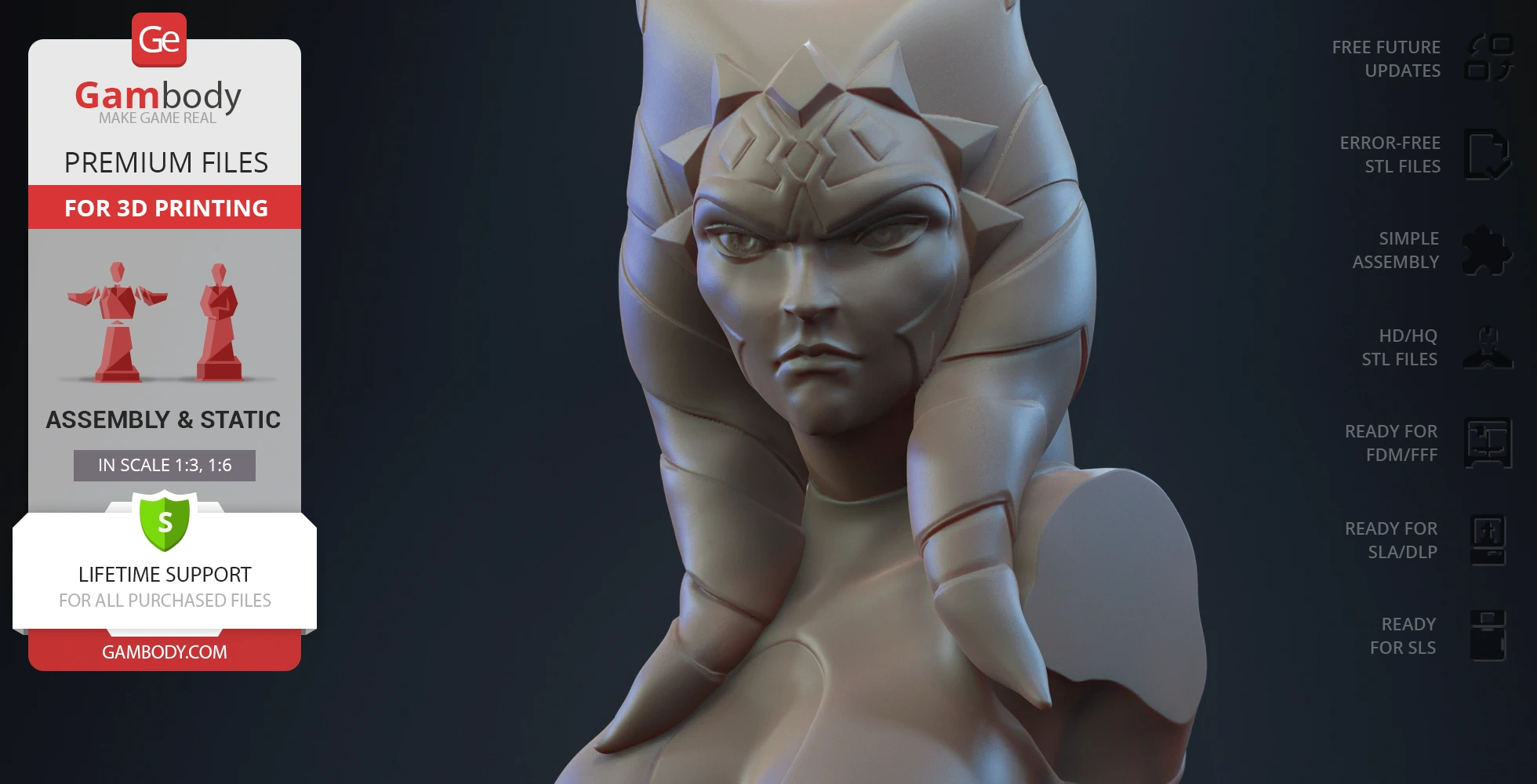 Bust of Ahsoka Tano from Clone Wars, detailed and ready for 3D printing.