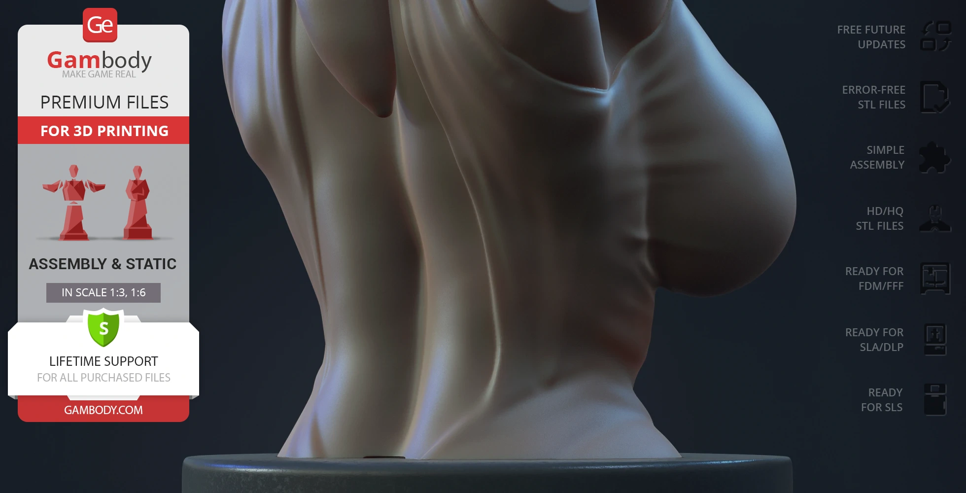 3D model of a detailed bust from Star Wars, showcasing the back and shoulder area with draped fabric.