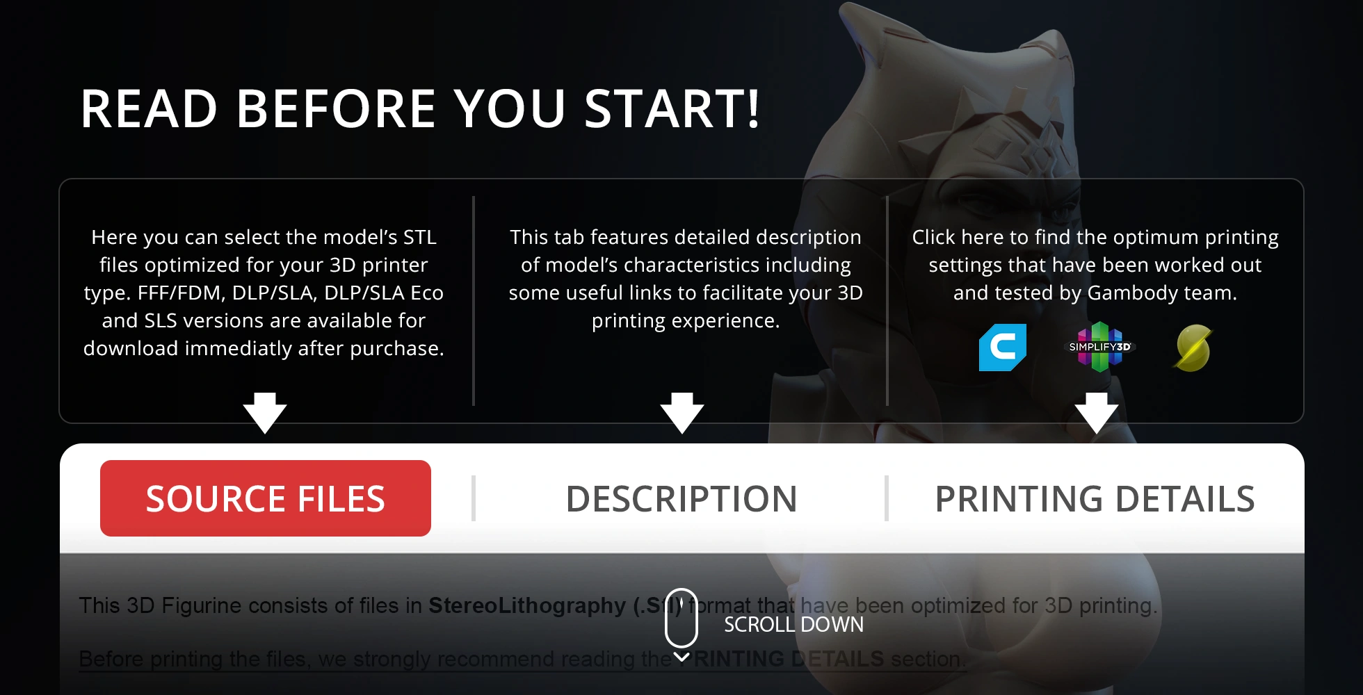 Ahsoka Tano bust 3D model from Clone Wars, with download and printing instructions highlighted.