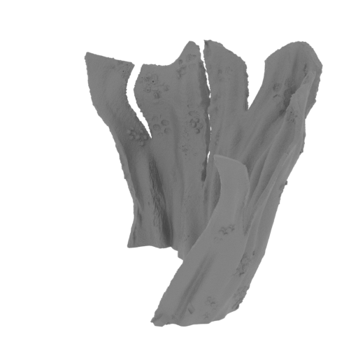 2_cloak_FDM(repaired).stl