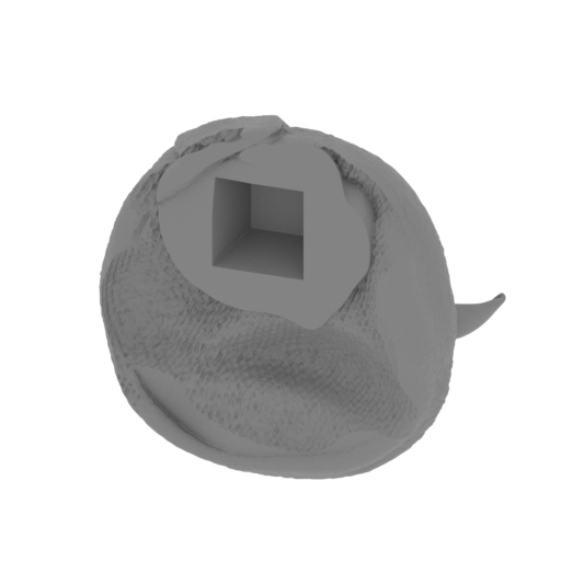 BY_Head03_Change.stl