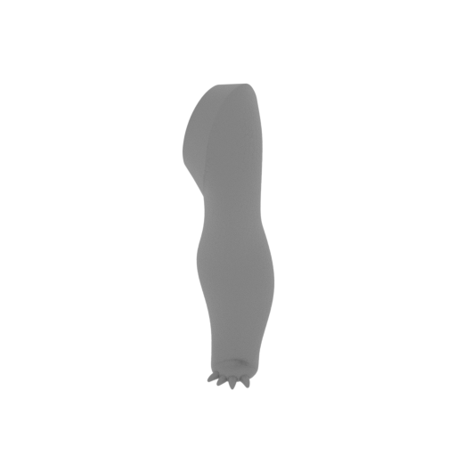 9_paw_front_L_FDM(repaired).stl