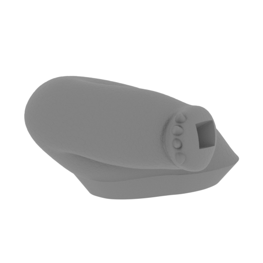 11_paw_rear_L_FDM(repaired).stl