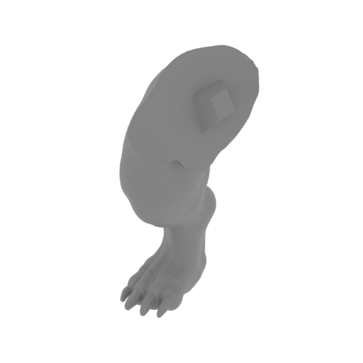 dog rear right leg_09.stl