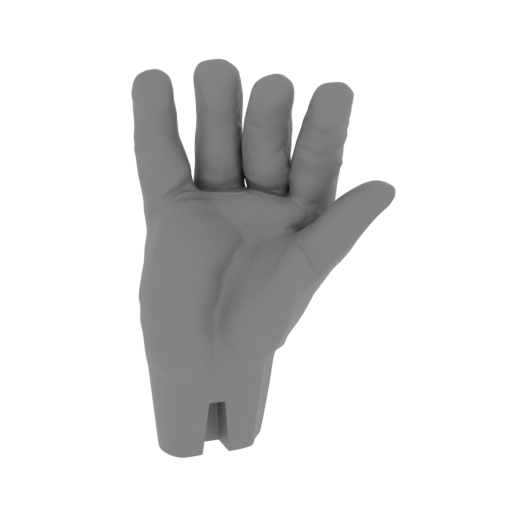 5_hand_R_FDM(repaired).stl