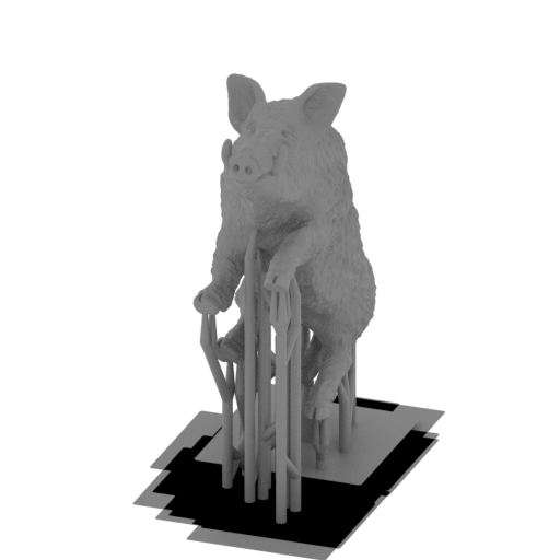 Boar 2d.stl