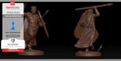 A detailed 3D model of a Celtic warrior with spear and shield, in dynamic pose, suitable for 3D printing.