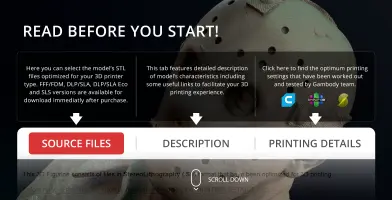 A close-up of a masked 3D model bust with overlay text about 3D printing instructions and options.