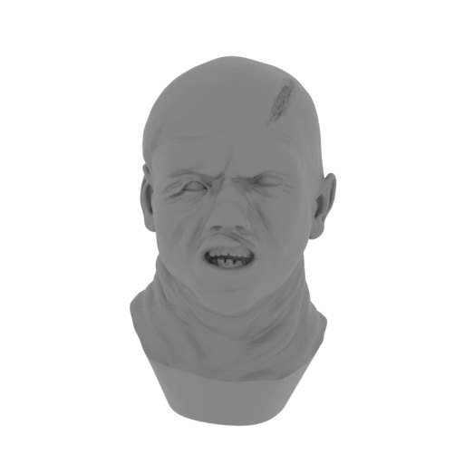 1_head_V_1_FDM(repaired).stl