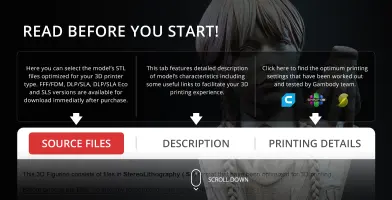 3D bust model with braided hair, featuring tabs for source files, description, and printing details.