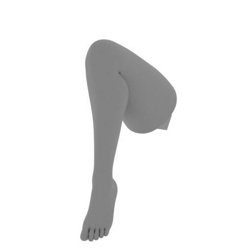 Shermie NSFW leg1.stl