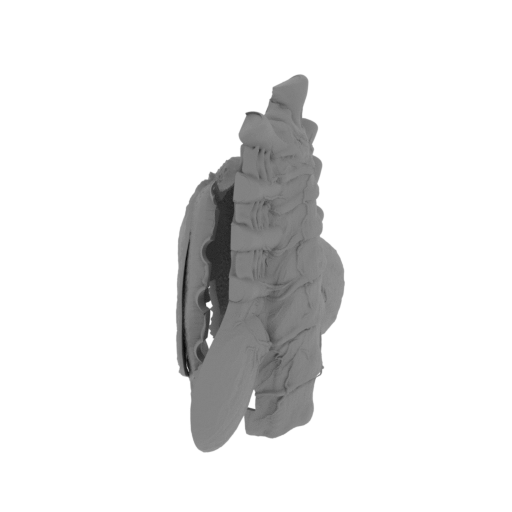 facehugger_RC_together_cases.stl