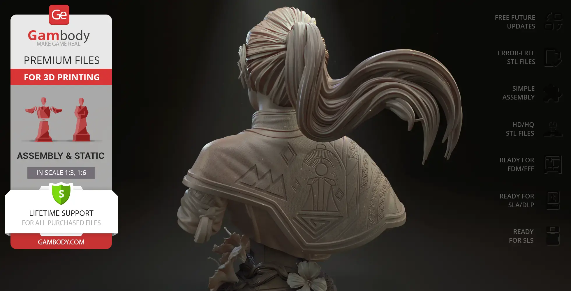 3D bust of a character with long, flowing hair and patterned cloak, viewed from the back.