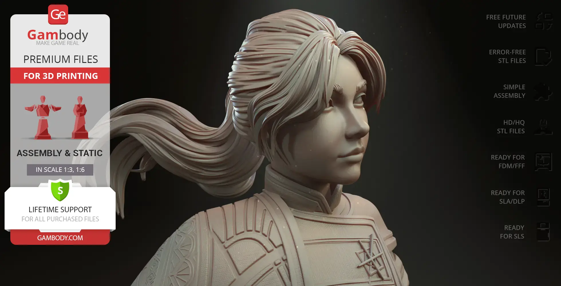 3D model bust of a fictional character with flowing hair and detailed clothing patterns.