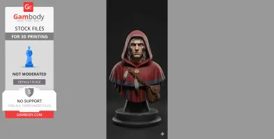 A highly detailed bust of a hooded figure with a serious expression, decorated with runes and a shoulder bag.