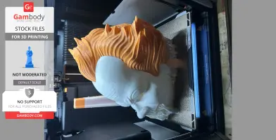 3D print of a clown head with orange hair in progress inside a 3D printer.