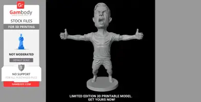 A chibi-style 3D model of a soccer player with open arms, standing on a circular base.