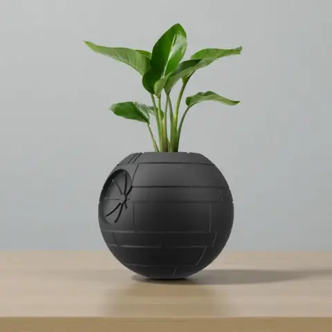 A Death Star-shaped plant pot with a green plant inside, resting on a wooden surface.