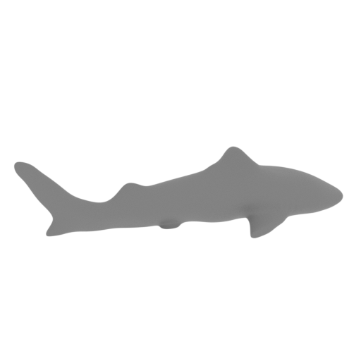 _95_secreShark_SLA (repaired).stl