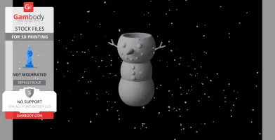 3D model of a snowman with a hollow head, twig arms, and button details, set against a starry background.