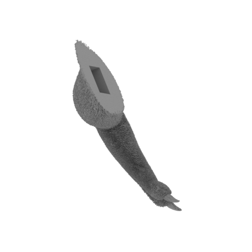 Red_Bone_arm_2__30_cm.stl