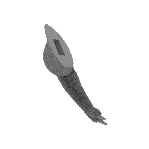 Red_Bone_arm_2__60_cm.stl