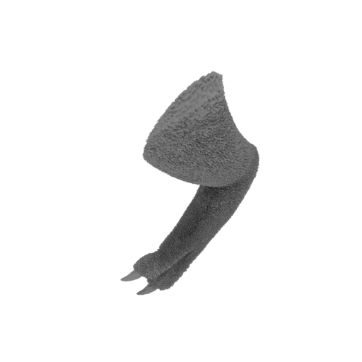 Red_Bone_arm_1__60_cm.stl