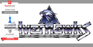 Silverhawks logo featuring a stylized metallic font with an eagle head design on a triangular background.