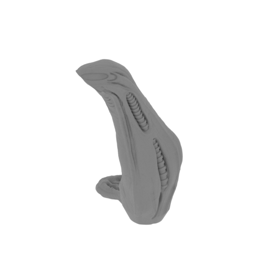 11_leg_R_1_FDM(repaired).stl