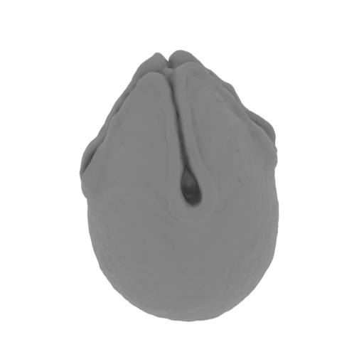 29_egg_1_FDM(repaired).stl