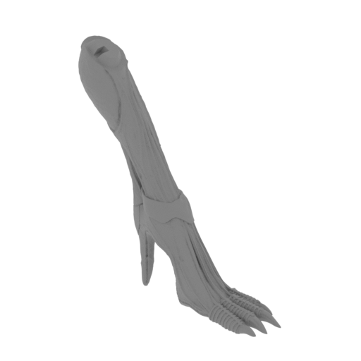 16_leg_L_3_FDM(repaired).stl