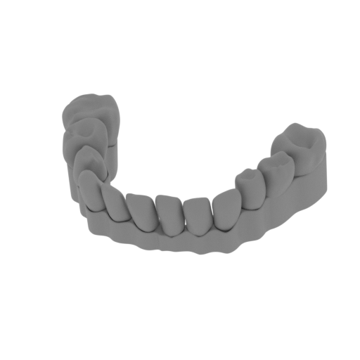 obect teeth jaw.stl