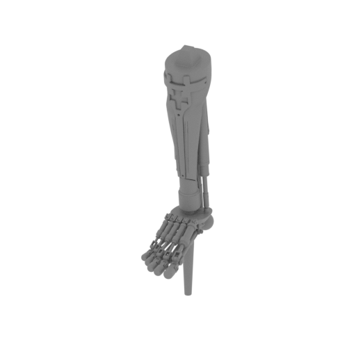object shinbone P.stl