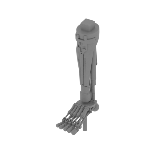 object shinbone P.stl