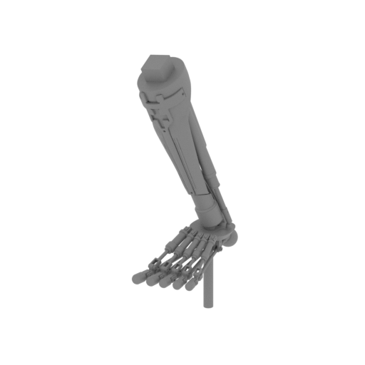 object shinbone L.stl