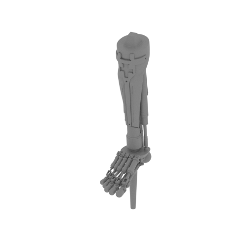 object shinbone P.stl
