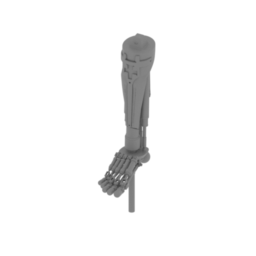 object shinbone P.stl
