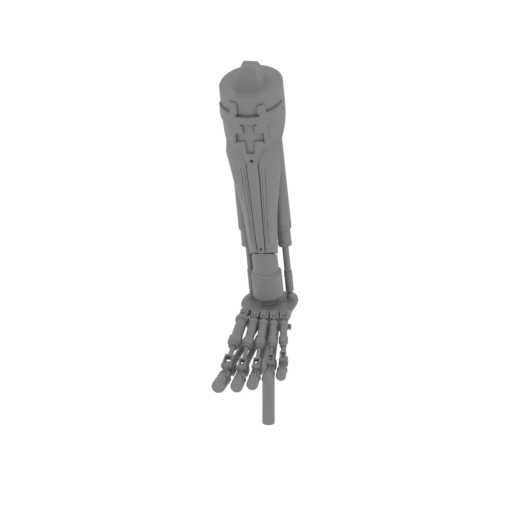 object shinbone L.stl