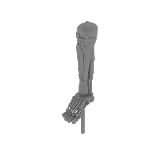 object shinbone P.stl