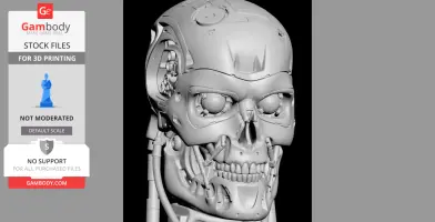 A detailed 3D model of a T-800 Terminator skull with exposed mechanical features.