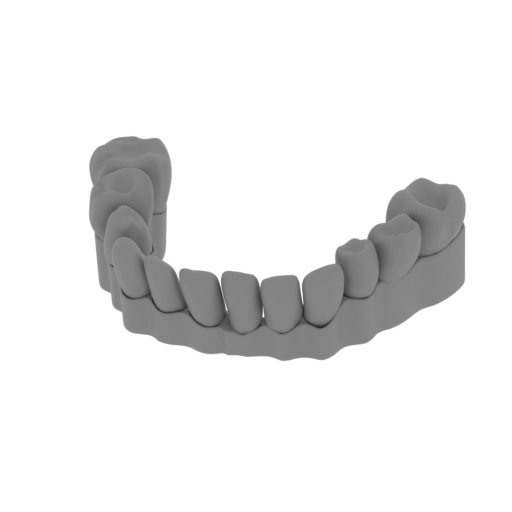 obect teeth jaw.stl