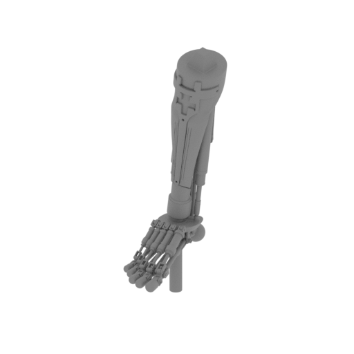 object shinbone P.stl