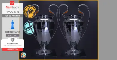 Two 3D printable football trophies with engraved details on display.
