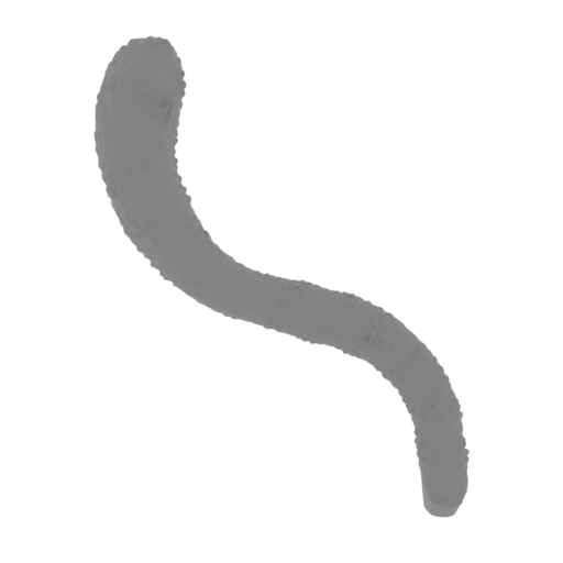 10_tail_FDM(repaired).stl