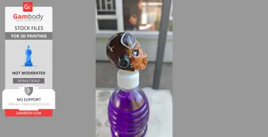Painted skull model with aviator goggles atop a purple bottle outdoors.