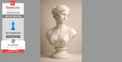 Elegant classical female bust with draped clothing, detailed hair on pedestal.