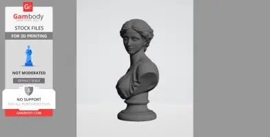 A classical-style female bust, with intricate details, posed on a pedestal.